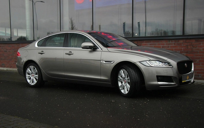 Jaguar XF cena 125990 przebieg: 23000, rok produkcji 2018 z Łasin małe 781